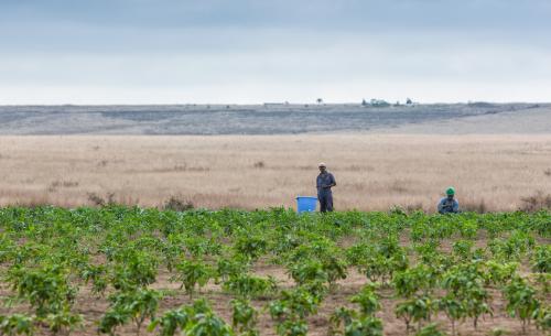 CABINDA, ANGOLA, 09 JUN 2010, Credit: Andre Silva Pinto on Shutterstock