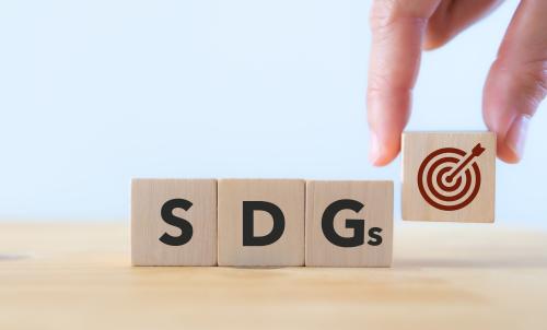 SDG targets